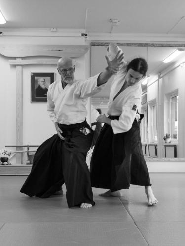 Aikido, kampsport og selvutvikling