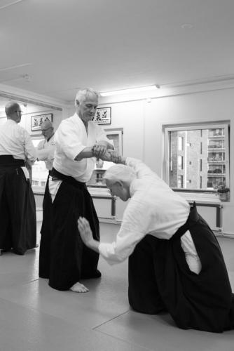 Aikido gir treningsglede. 