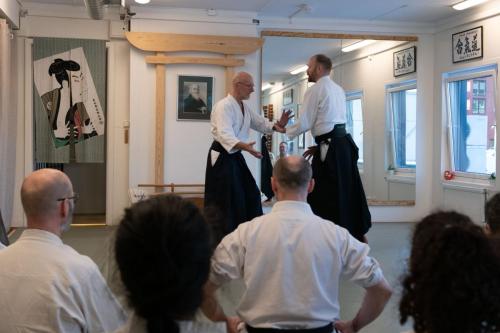 Aikiseminar